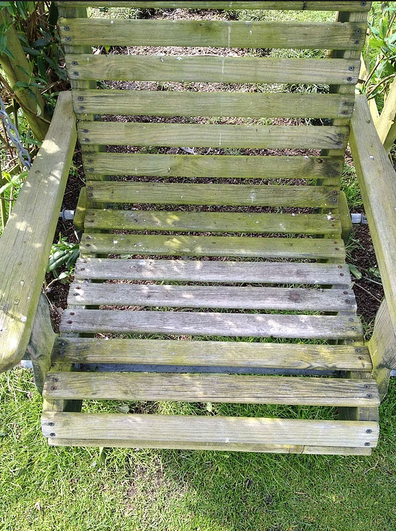 Di-ard Algae Treatment Wooden Chair