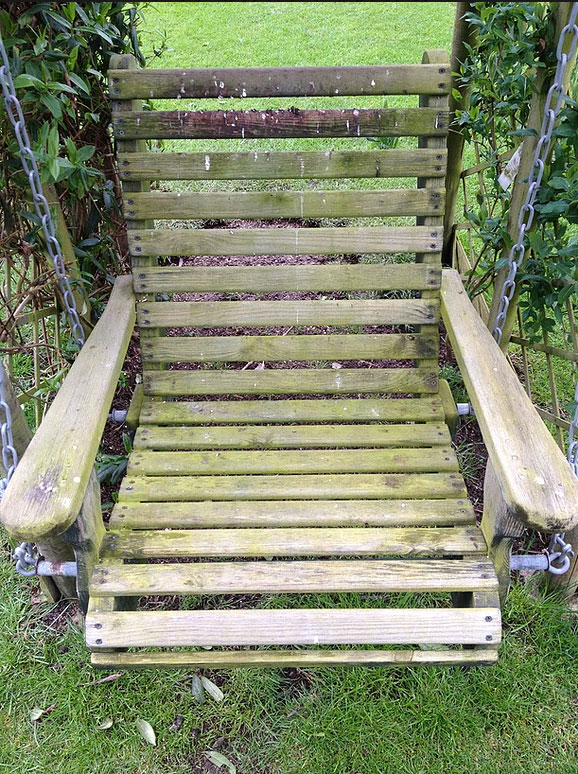 Di-ard Algae Treatment Chair